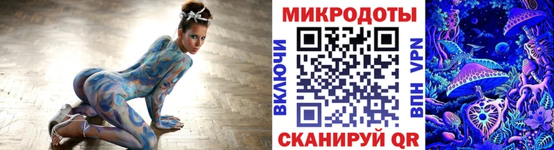 hydra онион  Нестеровская  Псилоцибиновые грибы Psilocybe  что такое  
